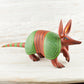 Armadillo Alebrije Oaxacan Wood Carving - Alebrije Huichol Mexican Folk art magiamexica.com