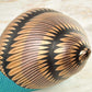Snail Alebrije Oaxacan Wood Carving - Alebrije Huichol Mexican Folk art magiamexica.com